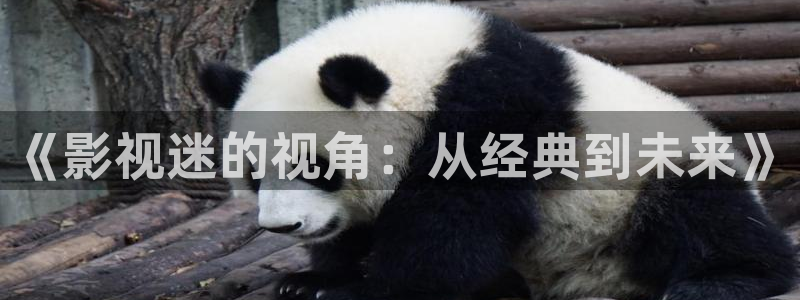 桔子影院高清自拍