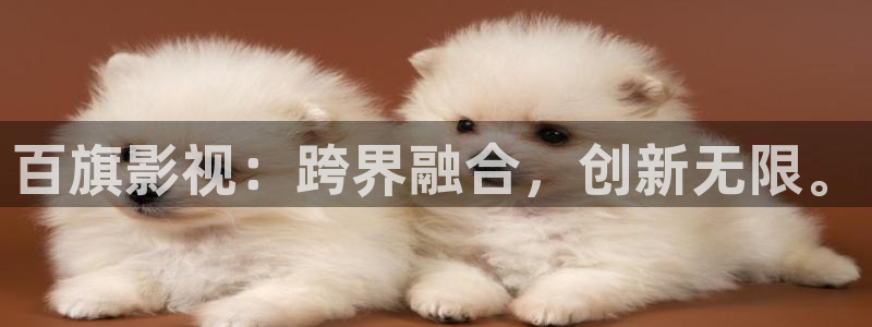 桔子影院免费观看电视剧最新章节